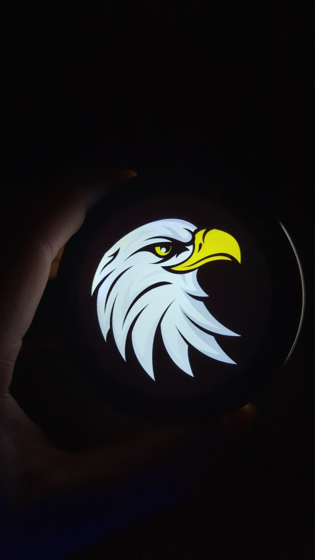 Médaillon d'emblème de voiture à LED en couleur - Montage personnalisé - Plusieurs modèles disponibles